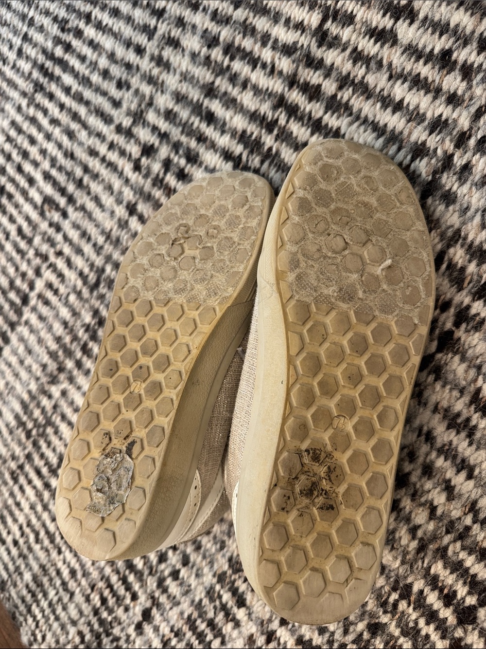 ShuShop Beige and Black Star High-Top Athletic Sneakers - Picture 6 of 6